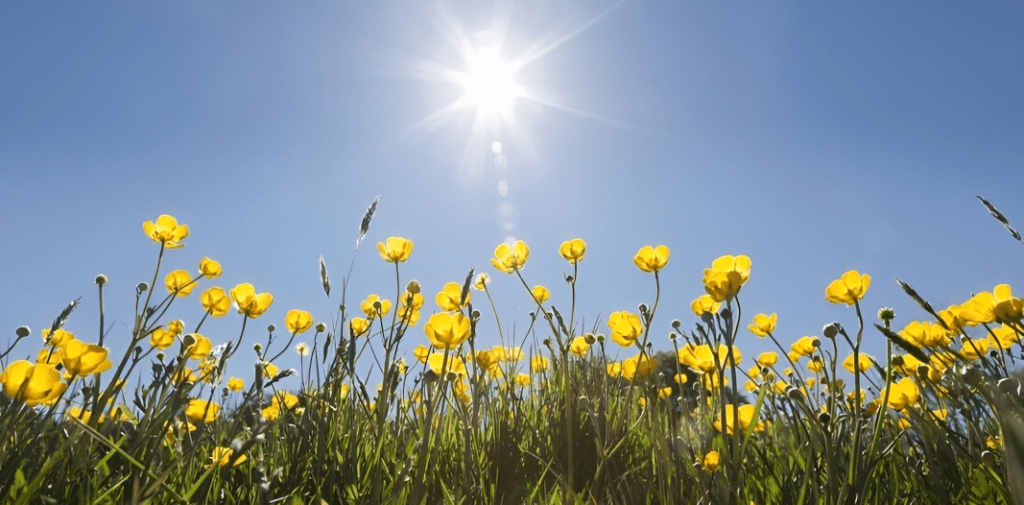 149661661 56a245425f9b58b7d0c87916