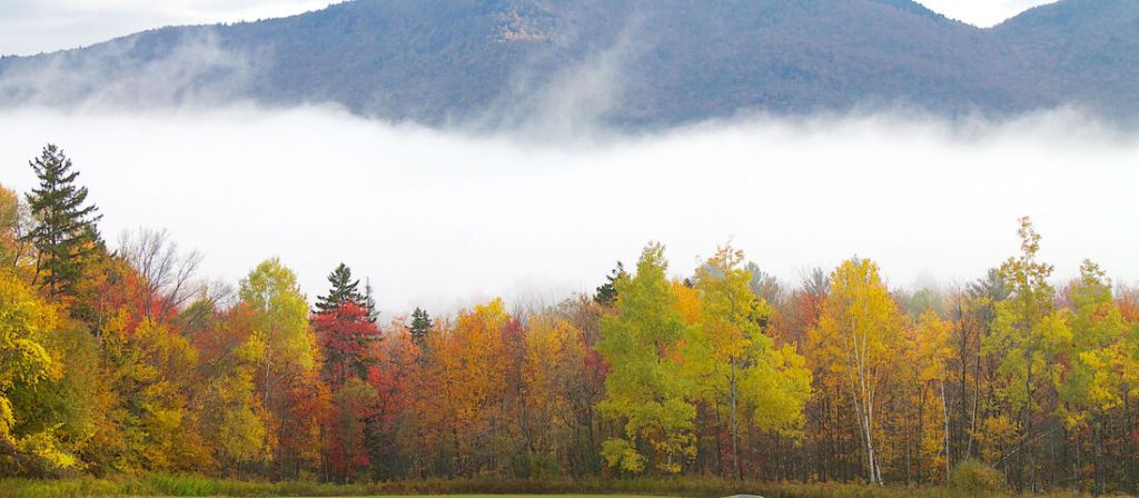 Economic Benefits 2 mti lake view 4 heather wlodek 2500x1094 orig